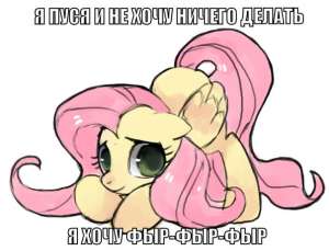 604x462