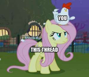 492x428