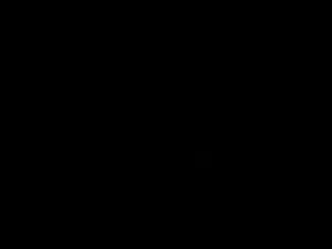 352x264