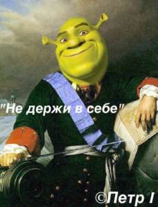 392x512