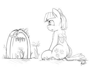 811x611