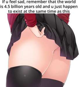 480x528