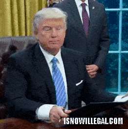 262x264