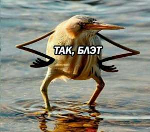 752x661