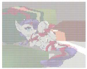 625x492