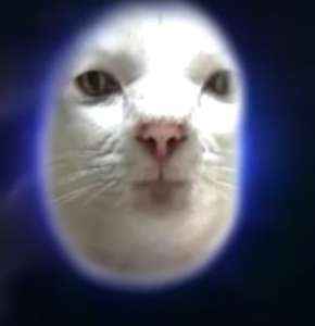 326x337