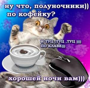 540x527