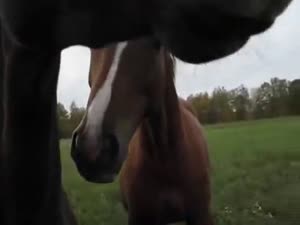 480x360