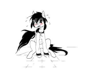 1556x1388