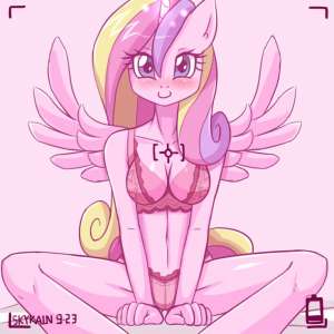 736x736