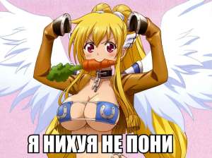 960x719