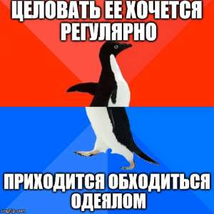500x500