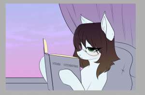 892x584