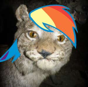 684x676