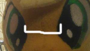 520x296
