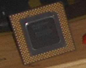293x232