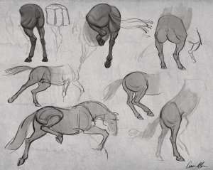 2048x1638
