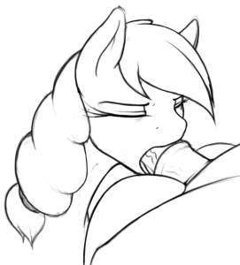 565x625