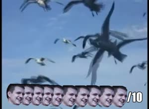 490x360