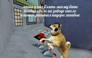 1280x812