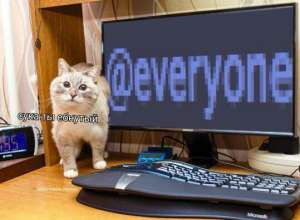 539x397
