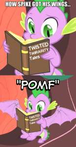 360x693