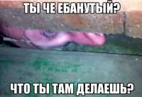 659x452