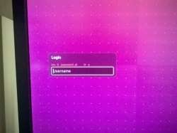 2053