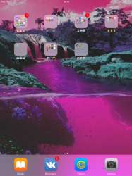 61