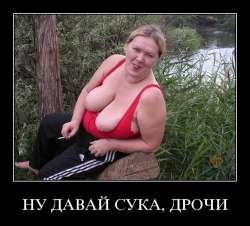 500x452