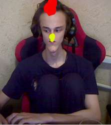 428x481