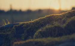 2560x1600
