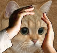 79