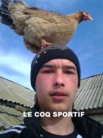 55