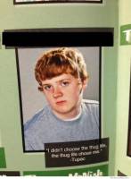 116