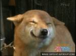 2539