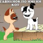 58