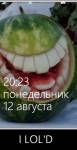 591