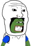 41