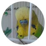 189