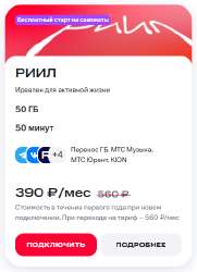 383x528