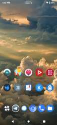 590x1280