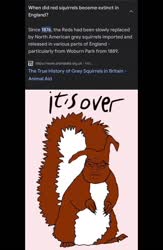 720x1104