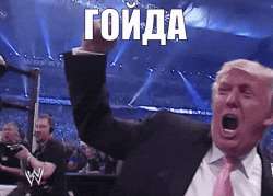 498x357