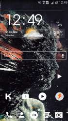 720x1280