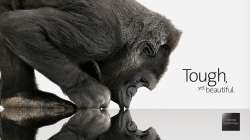 1600x900