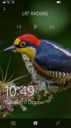 540x960