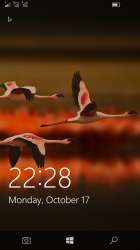 720x1280
