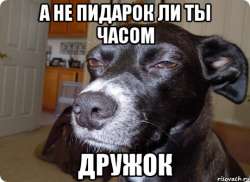 540x394