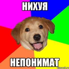 407x405